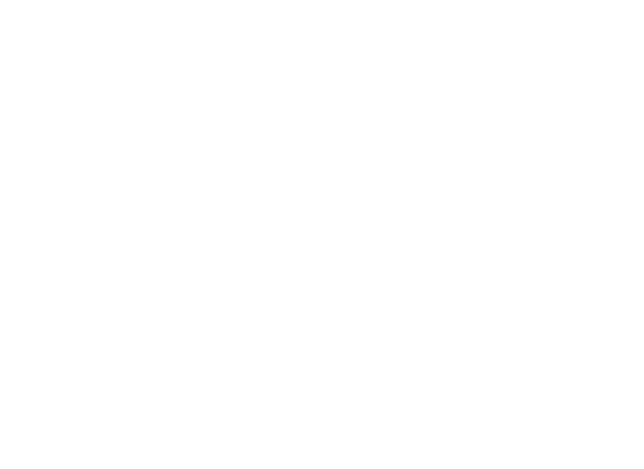 nastrificio alma logo